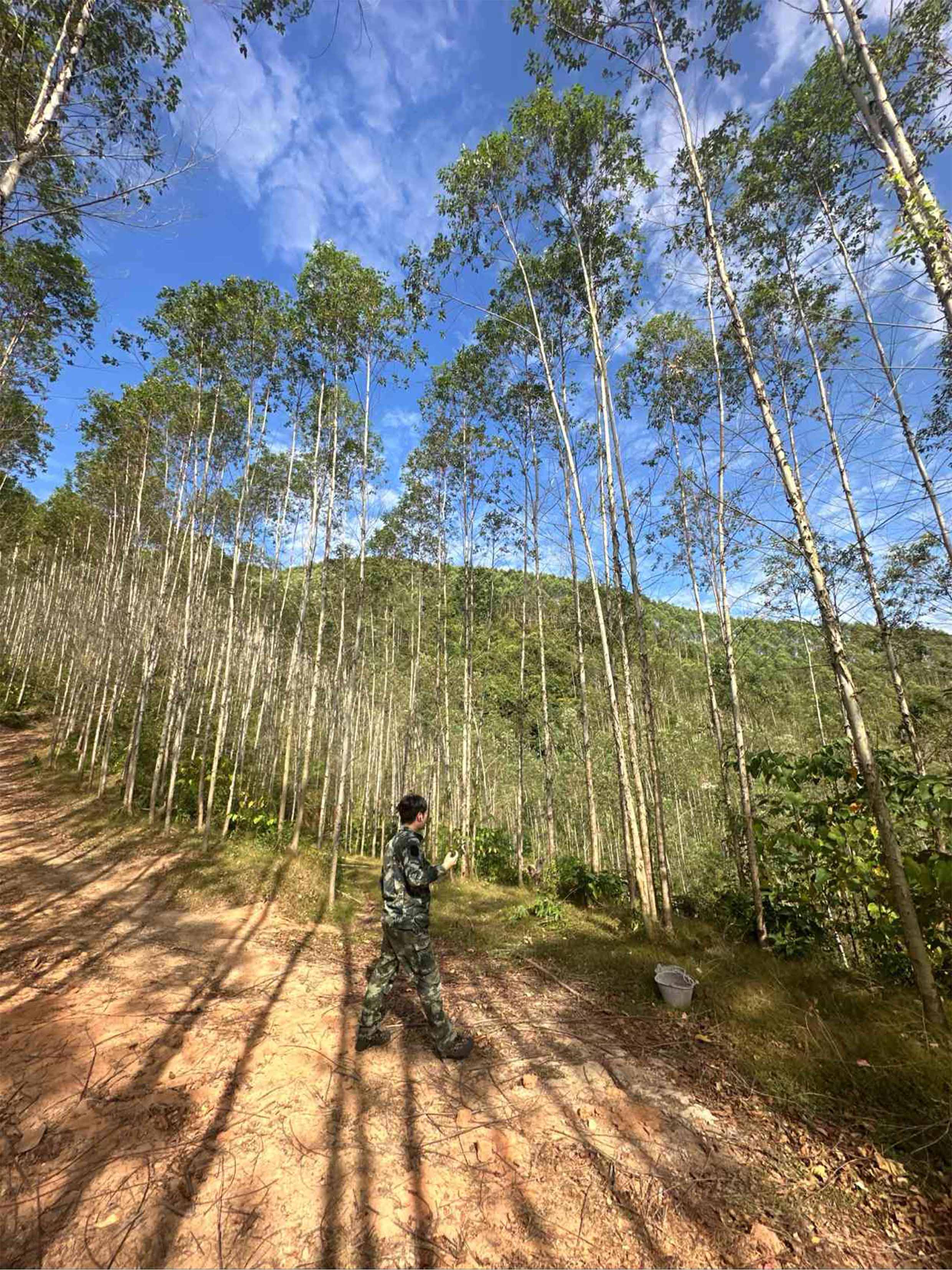 luck18xinli(中国区)-官方网站