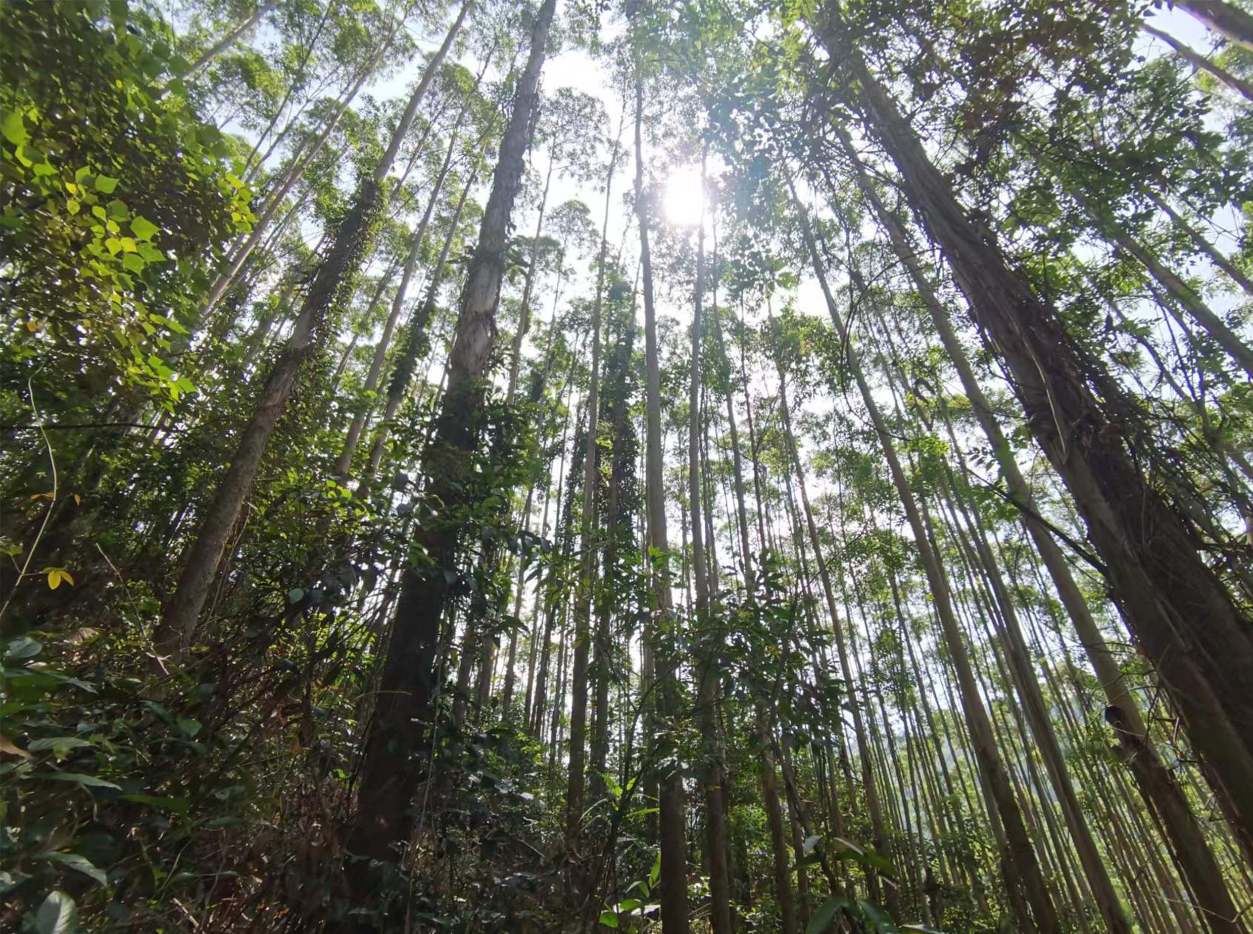 luck18xinli(中国区)-官方网站