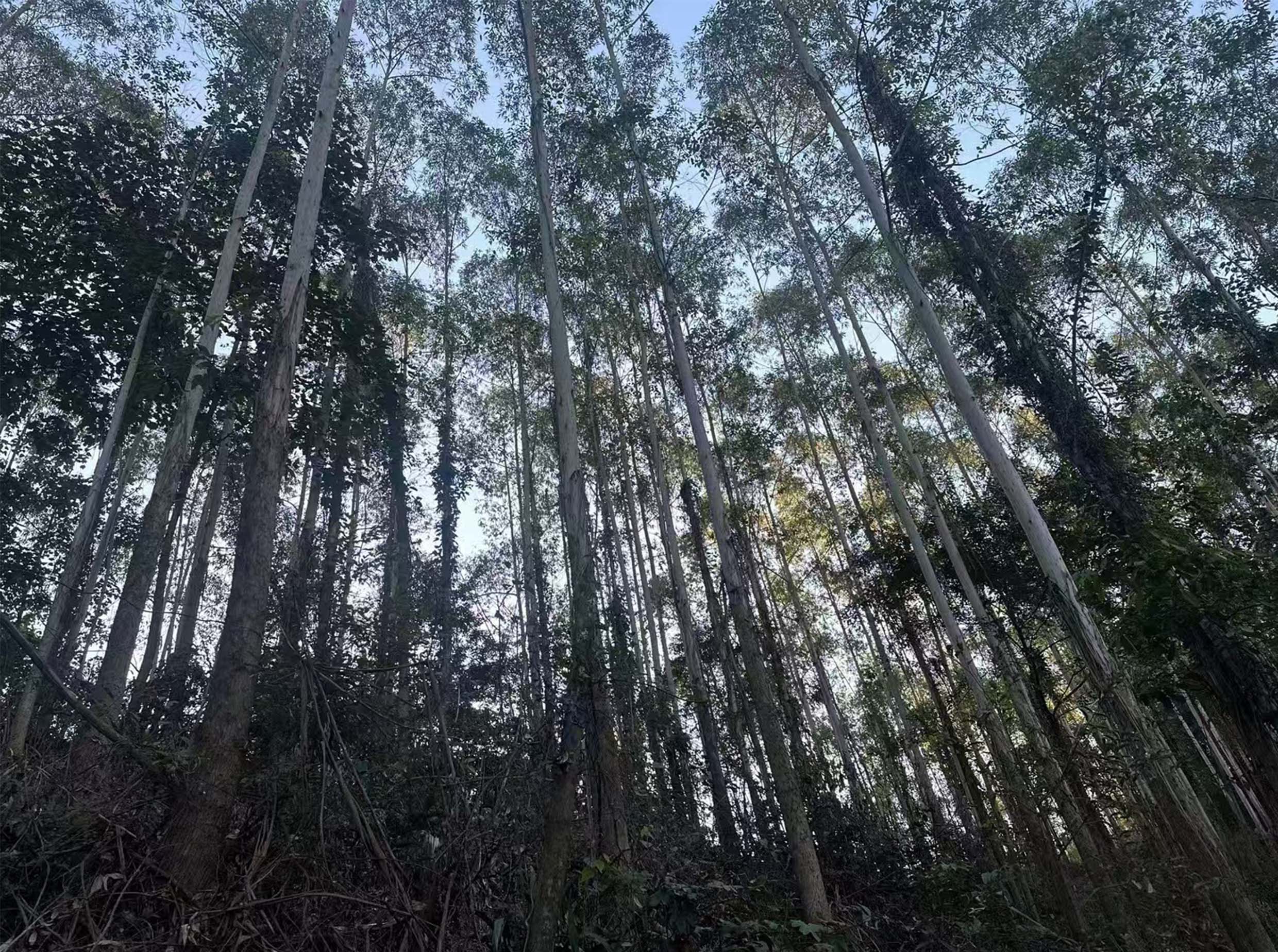 luck18xinli(中国区)-官方网站