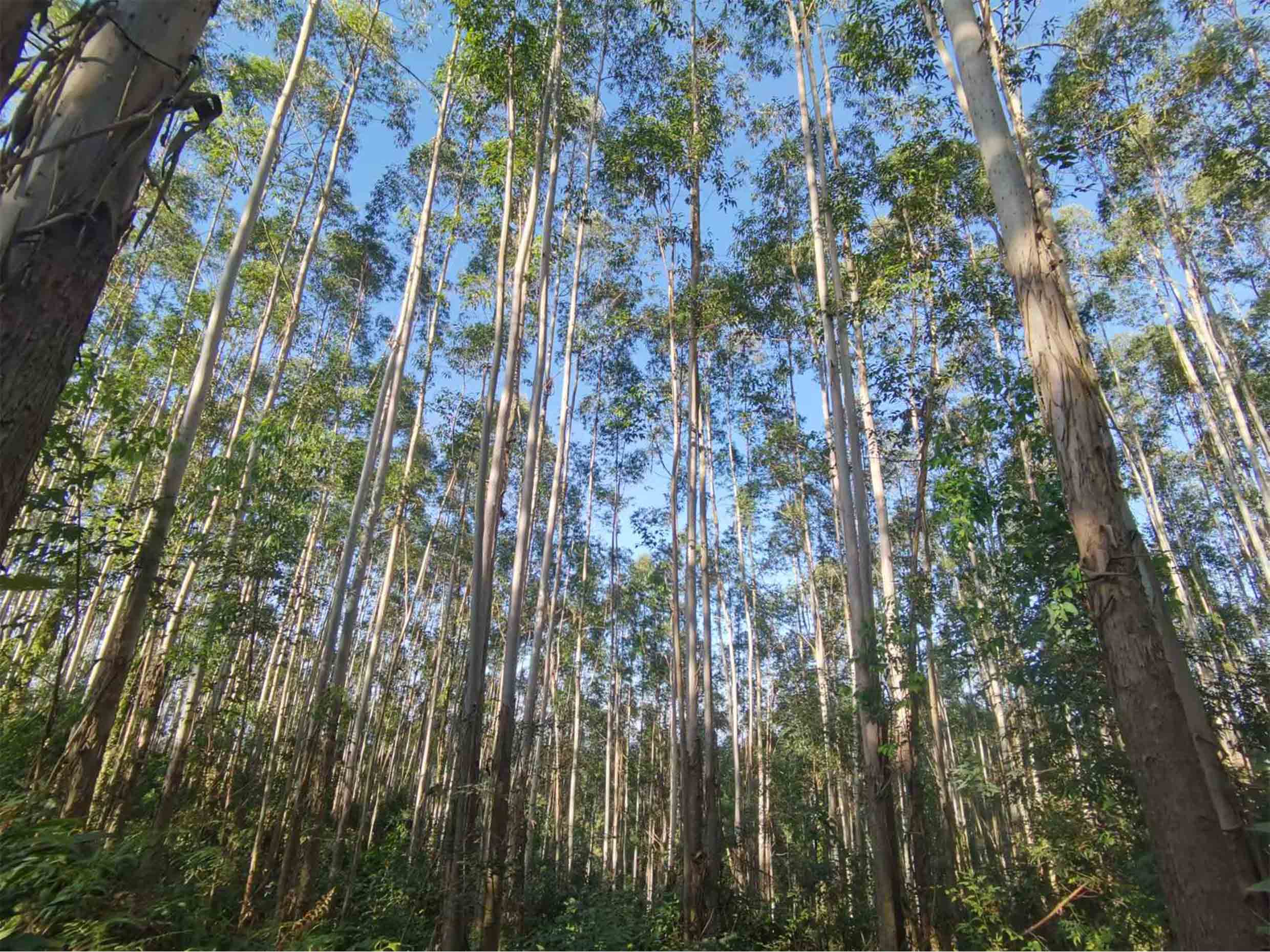 luck18xinli(中国区)-官方网站