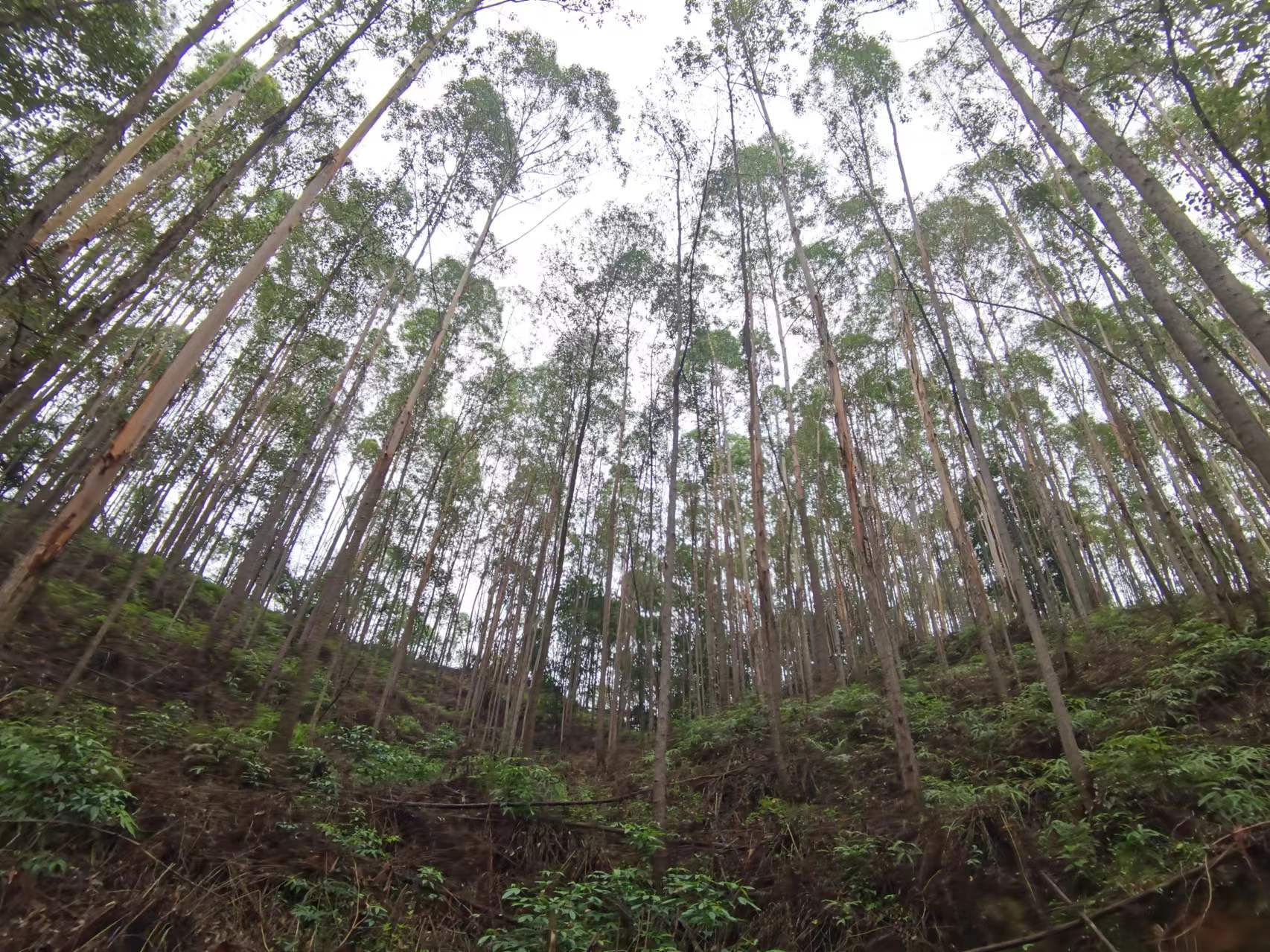 luck18xinli(中国区)-官方网站