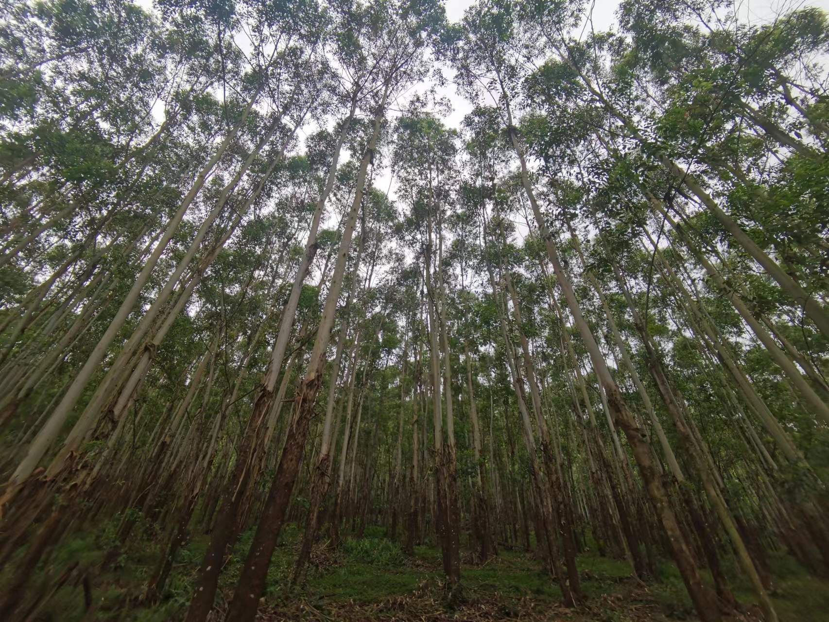 luck18xinli(中国区)-官方网站