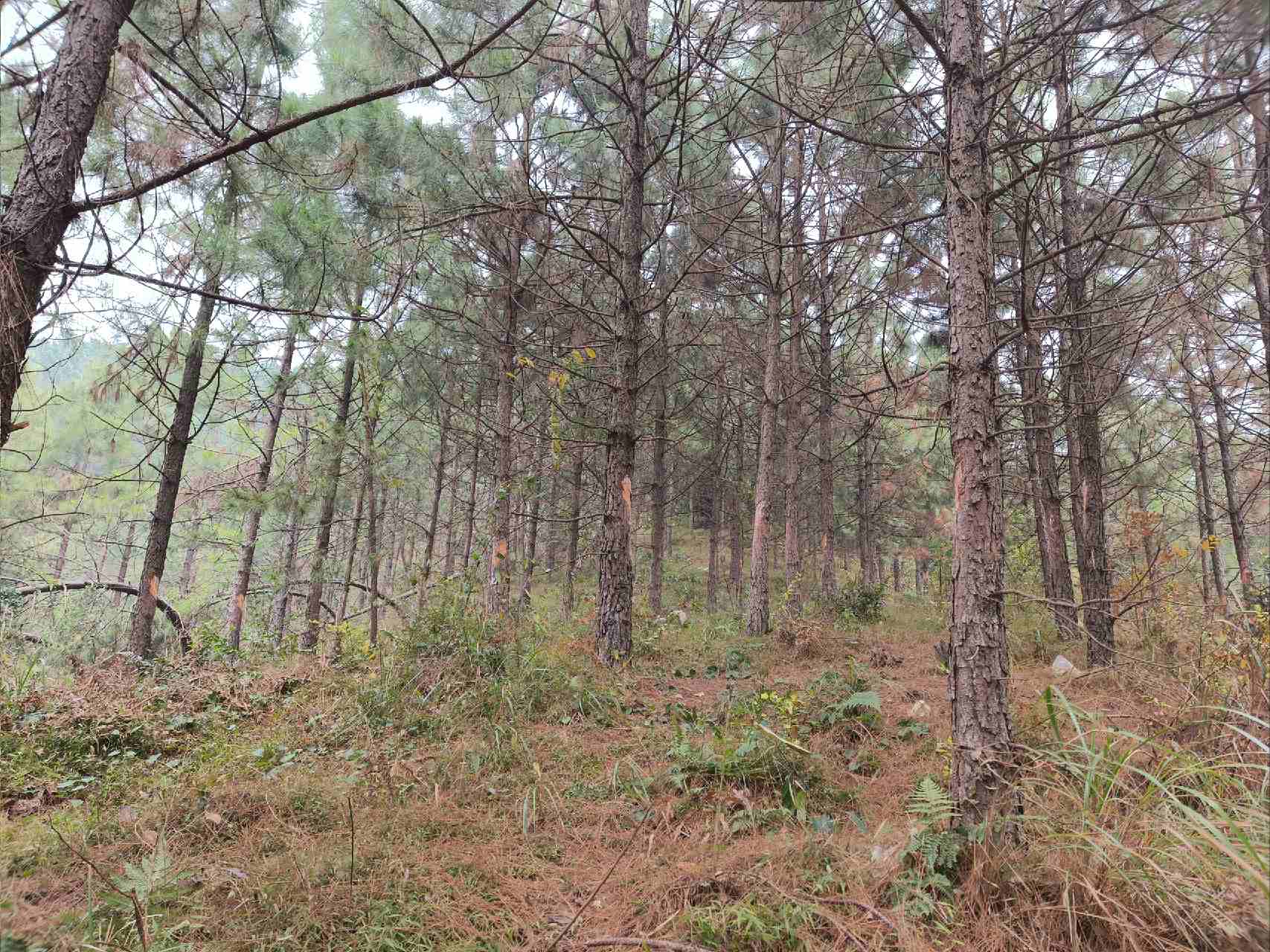 luck18xinli(中国区)-官方网站