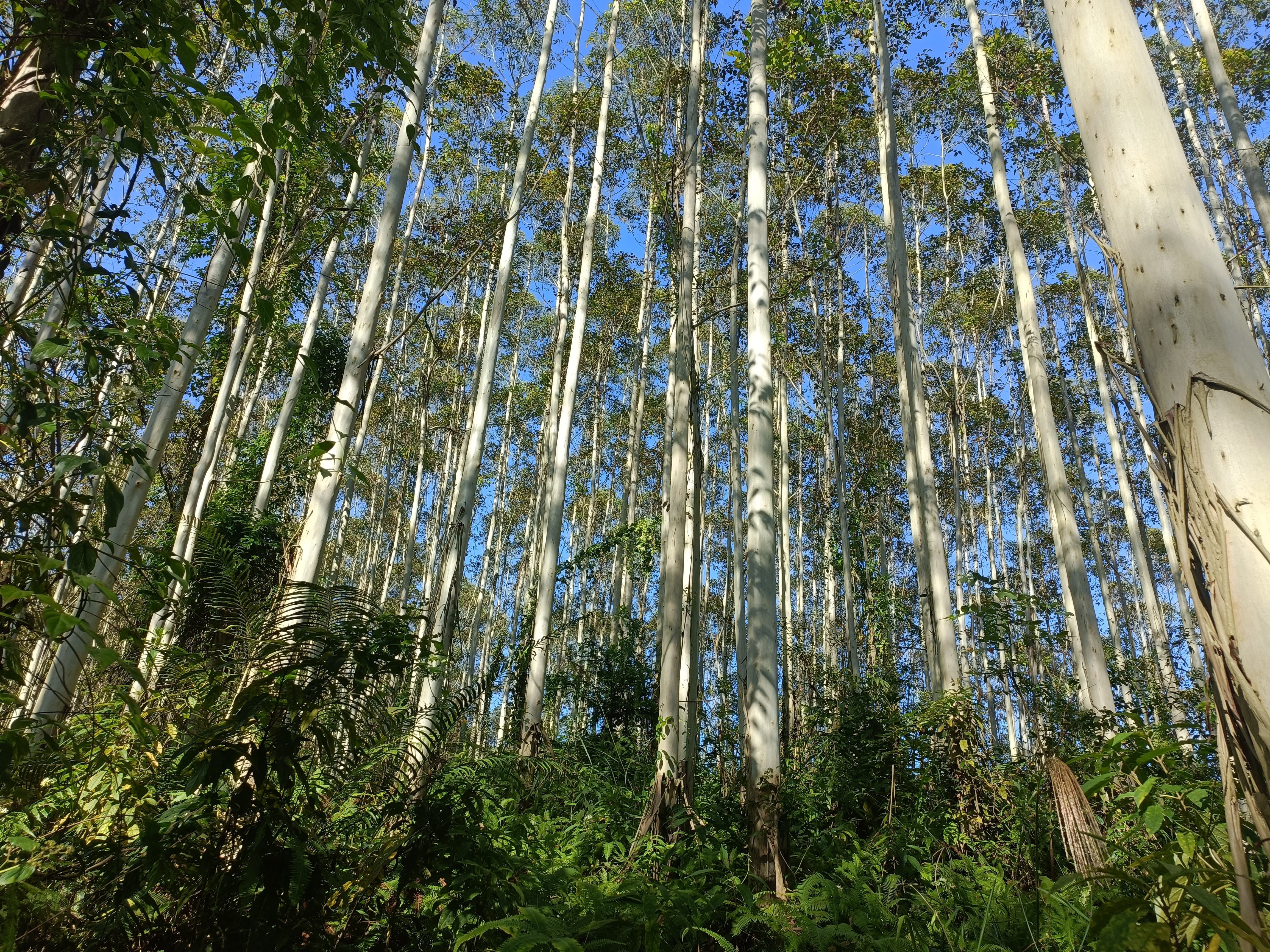 luck18xinli(中国区)-官方网站