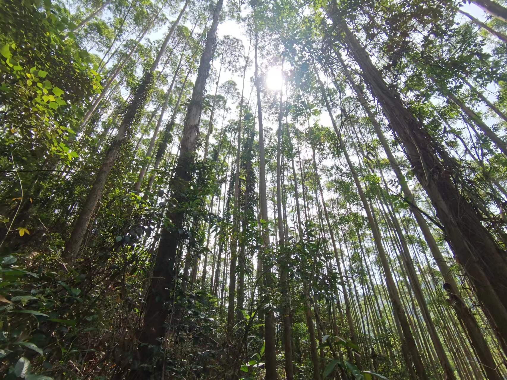 luck18xinli(中国区)-官方网站