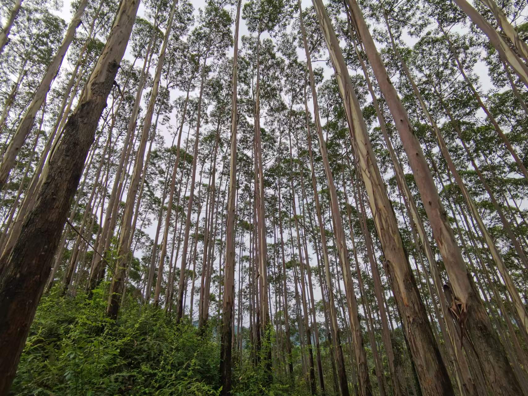 luck18xinli(中国区)-官方网站