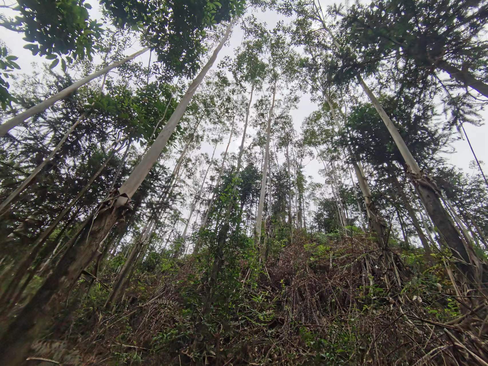 luck18xinli(中国区)-官方网站