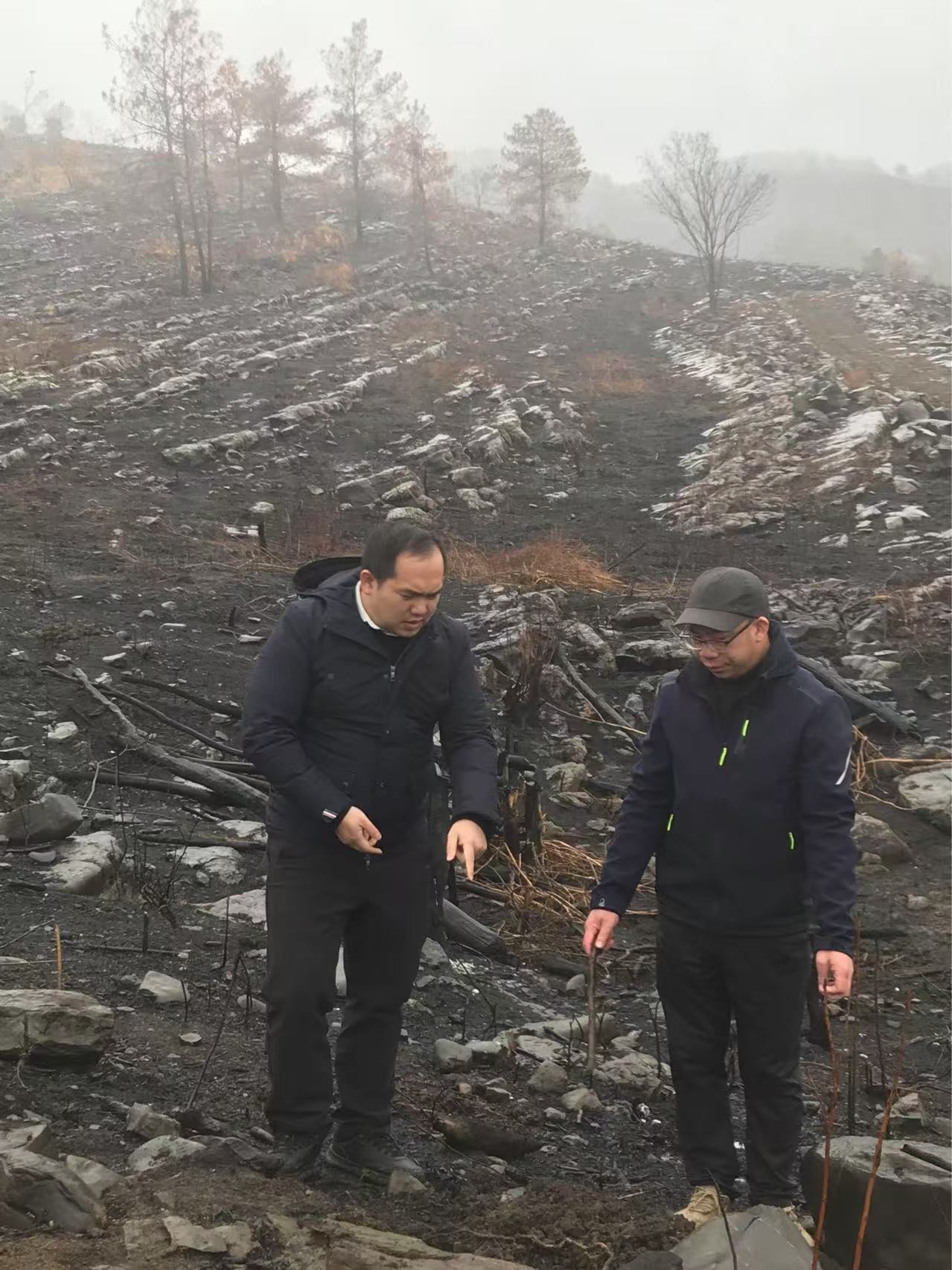 陆克宇到鹿晟公司领导春季造林工作