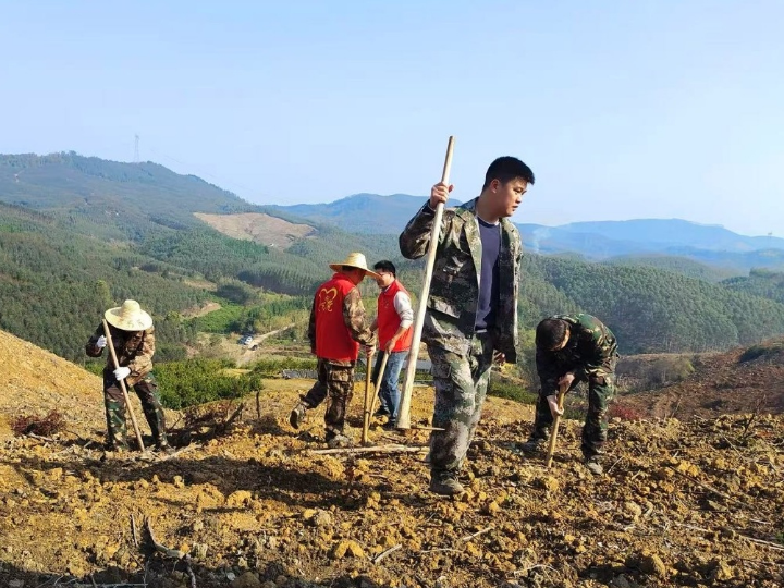 迎着春雨，，，，，，，吹响号角，，，，，，，干起来