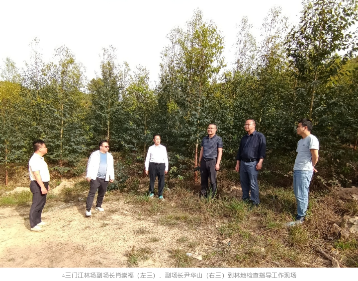 luck18xinli(中国区)-官方网站