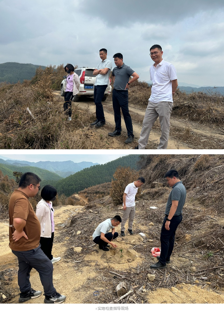 luck18xinli(中国区)-官方网站