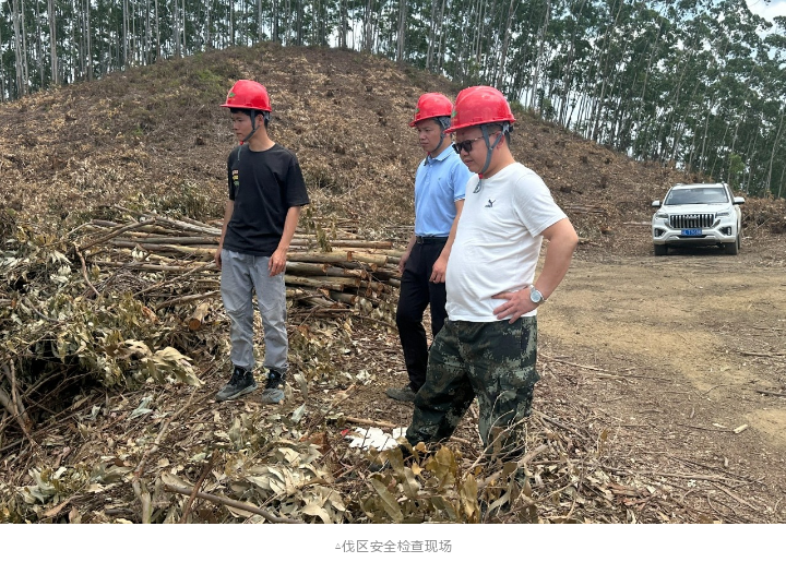 luck18xinli(中国区)-官方网站