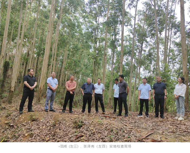 luck18xinli(中国区)-官方网站