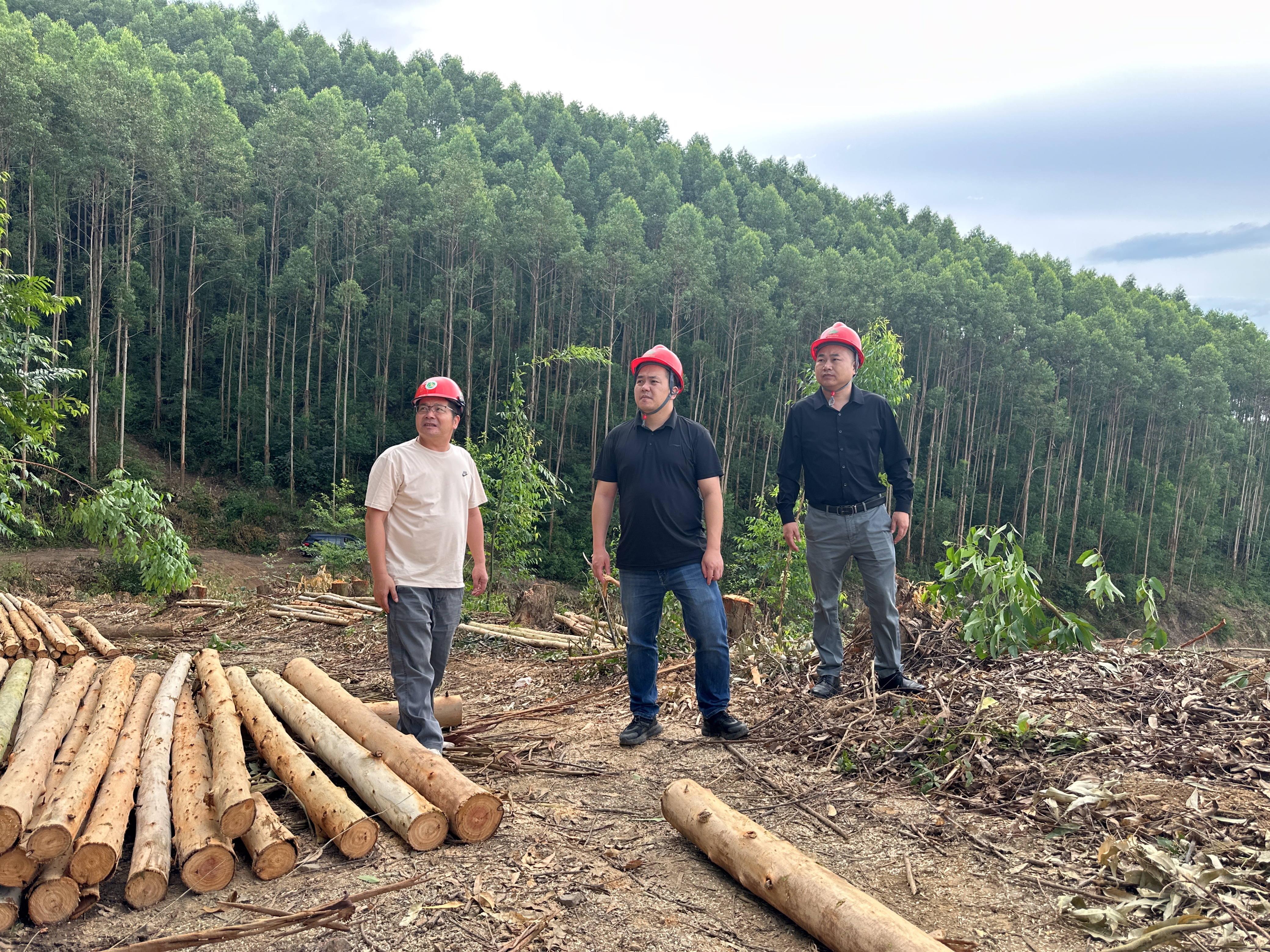 陆克宇深刻伐区发展安全出产专项查抄