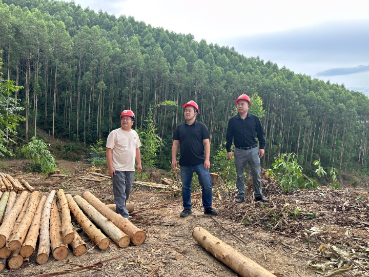 luck18xinli(中国区)-官方网站