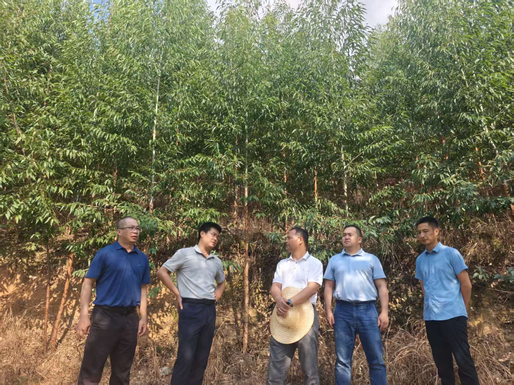 韦宏董事长深刻鹿晟公司林地调研领导