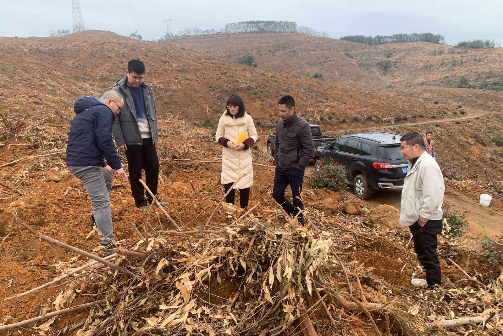 廖长琨到鹿晟公司崇岭分场林地领导造林备耕工作