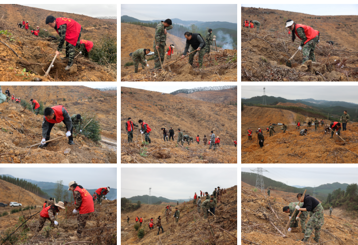 luck18xinli(中国区)-官方网站