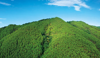 luck18xinli(中国区)-官方网站