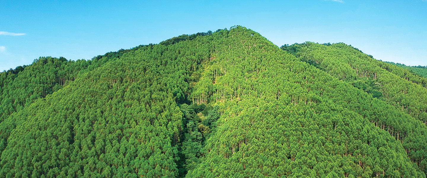 luck18xinli(中国区)-官方网站