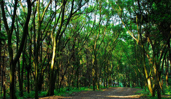 luck18xinli(中国区)-官方网站